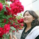 도원치안센터 이미지