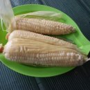 뽕나무펜션 이미지