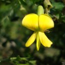 서사분교 이미지