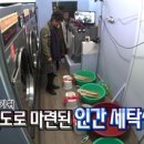 셀피아셀프빨래방 이미지