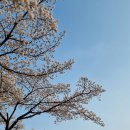 디자인첫봄 이미지