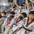 용인대백호태권도 이미지