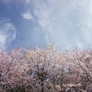 ICHEON128 네이버블로그