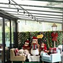 금강산 | 가평 금강산 숯불닭갈비 맛집 후기! 닭갈비·막국수 환상 조화!