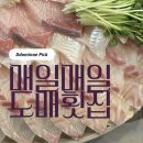 매일매일도매횟집 | 당감동 웨이팅 쌍벽을 이루는 횟집, 매일매일도매횟집 | 가격,운영시간,정보