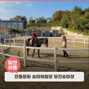 전통문화 승마체험장 당진승마장