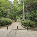 530 | 강서둘레길 개화산전망대 산책 겸 쉬운 등산코스, 약사사 출발 추천(feat.개화화훼단지 사바나농장,명원...