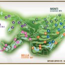 호박관광클럽 이미지