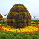 부안애서 이미지