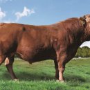 덕풍 2농장 이미지