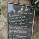 제주투어패스 추천 코스 TOP6 가볼만한 곳(아트서커스, 서귀포유람선)