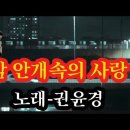 밤 안개속의 사랑-노래 권윤경 이미지