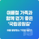 북한산 소나무의 짙은 솔향기를 맡으며 | 여름 가족 나들이, 어디로 갈까? 국립공원 '여름 탐방명소' 7선으로 떠나는 시원한 피서!
