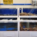 봉곡회식당 이미지