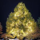 플레이그라운드어린이집 이미지