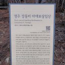 영주강동리마애보살입상 이미지