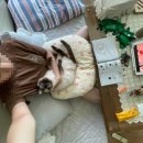 국수나무? | 여름 휴가(7.23~8.16)