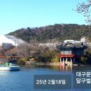 사단법인 대구서예가 협회 이미지
