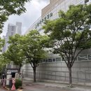 풍진 | 연제구보건소 신혼부부 건강검진사업 산전검사 풍진검사 후기
