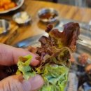 본낙원갈비 이미지