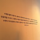 나무시스 | 데이비드 호크니 &amp; 브리티시 팝아트 DDP 전시