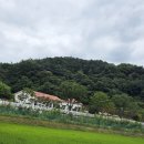 세종시 엔슬리카페 수국정원이뿐곳 이미지