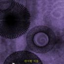 밤끝