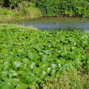 한경면 낙천리 아홉굿마을 이미지