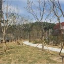 창원지인부동산중개사무소 | 실패 없는 집 찾기, 창원부동산 중 스마일부동산에서 내 가족처럼 집을 고르는 방법 알려드려요