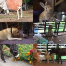 달빛농장 이미지