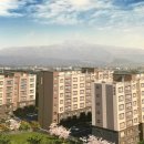 하모리-10 이미지