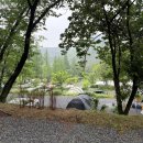 스노우라인 캠핑빌리지’🏕️ 프리미엄(노이즈캔슬링)존 6번 후기🌟 / 거대 숲 속 고요한 휴식을 원한다면