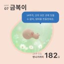 [임신기록]13~16주차 임산부 일상, 태교, 둘이 보내는 마지막 남편 생일, 프랑스자수 배우기, 실버스노우