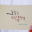 선캘리아트