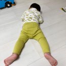 (주)이마트 안성점 | 안성 스타필드 트레이더스 신상품 할인 총정리 (로드쇼 마지막 주)