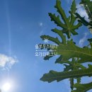 슬로우피크닉 이미지