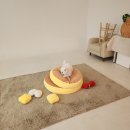 스튜디오 눕 이미지