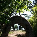 옥순대교 이미지