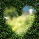 방과후지도사 이미지