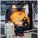 경희대XPL태권도장 이미지