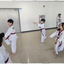 즐거운 태권도 아카데미 이미지
