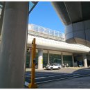 성화오토바이 | 제주도 오토바이 렌트 공항에서 바로 이용해본 제주 여행 이야기