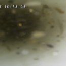 인천가톨릭학원마리스텔라 이미지