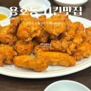 꼬꼬아찌 | 용호동 치킨 맛집 구 꼬꼬아찌 용호로 숯불 바베큐 후라이드 솔직 후기