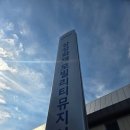 🏎️ 용인 아이와 가볼만한곳 | 삼성화재 모빌리티뮤지엄 JDM 페스티벌 및 클래식카 체험 후기 🏁