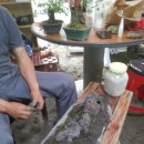 우들농장 이미지