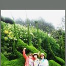 1박2일 이미지