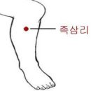 【변비에 좋은 혈자리】 「족삼리, 천추, 지구, 관원혈】 이미지