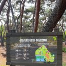 산철쭉어린이공원 이미지