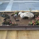 번지없는주막 이미지